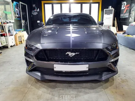 포드 머스탱  GT 바이퍼라인 데칼작업 - 성남자동차랩핑/분당랩핑/판교랩핑/스탠스(STANCE) / 성남시 수정구 사송동