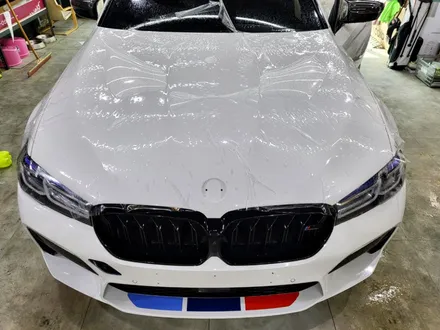 BMW M5 PPF 시공 가격 [본넷, 휀더, 범퍼] + M 퍼포먼스 사이드 데칼 시공! 성남 PPF /  분당 PPF / 판교 PPF / 스탠스 (STANCE) / 성남시 수정구 사송동