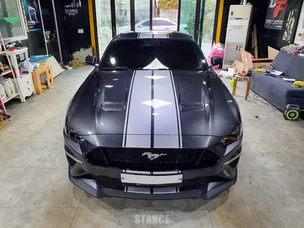 포드 머스탱  GT 바이퍼라인 데칼작업 - 성남자동차랩핑/분당랩핑/판교랩핑/스탠스(STANCE) / 성남시 수정구 사송동