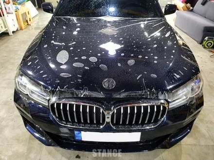 BMW 5시리즈 프론트 PPF 시공 - 성남랩핑/분당랩핑/판교랩핑/PPF전문/스탠스(STANCE) / 성남시 수정구 사송동