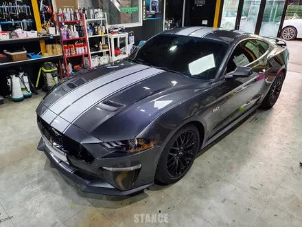 포드 머스탱  GT 바이퍼라인 데칼작업 - 성남자동차랩핑/분당랩핑/판교랩핑/스탠스(STANCE) / 성남시 수정구 사송동
