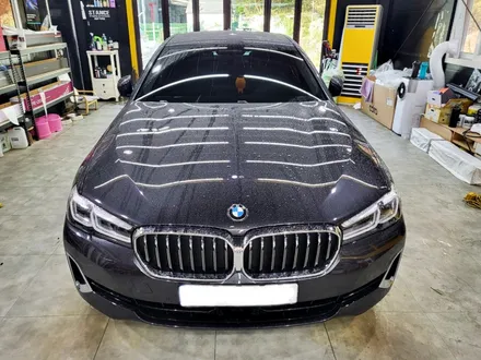 BMW 530i PPF 시공 [본넷, 도어4짝, 프론트 범퍼, 양쪽 코너 PPF]성남 PPF / 분당PPF / 판교PPF /스탠스 (STANCE) / 성남시 수정구 사송동