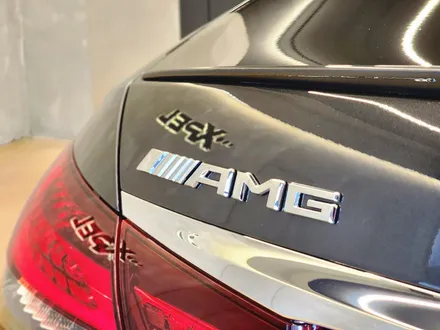 AMG 차량이라면 거쳐야 할 필수 관문 PPF / 서울 강남구