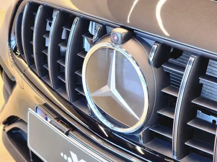 AMG 차량이라면 거쳐야 할 필수 관문 PPF / 서울 강남구