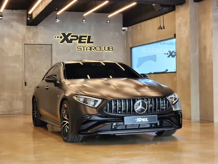 서울 강남구 / 무광전체PPF / 벤츠 / CLS-클래스 CLS53 AMG