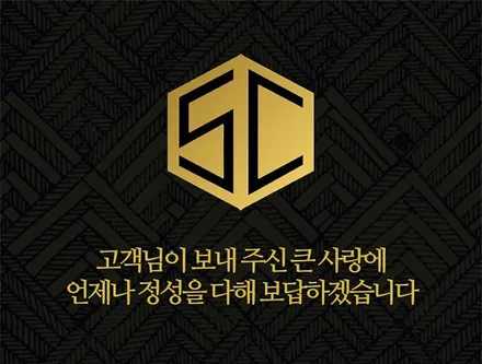 T스타클럽 테슬라 용품 모델3 악세사리 리얼 카본 사이드미러와 도어 라이트로 언제 어디서나 시선 강탈! / 수원, 부천, 부평, 인천