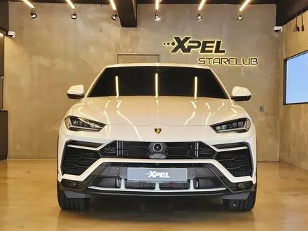 람보르기니 우루스 엑스펠 PPF 스타클럽 강남센터 / 수원, 부천, 부평, 인천