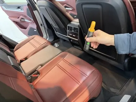 이제 PTS에서도 선택할수 없는 베이지 / 수원, 부천, 부평, 인천