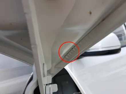 올뉴카니발, 신차검수부터 신차풀패키지시공 스타워시에서-! / 군산시 나운동
