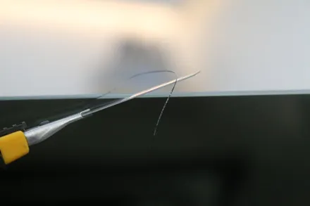 EV6 비반사 썬팅 고민이라면? / 군산시 나운동