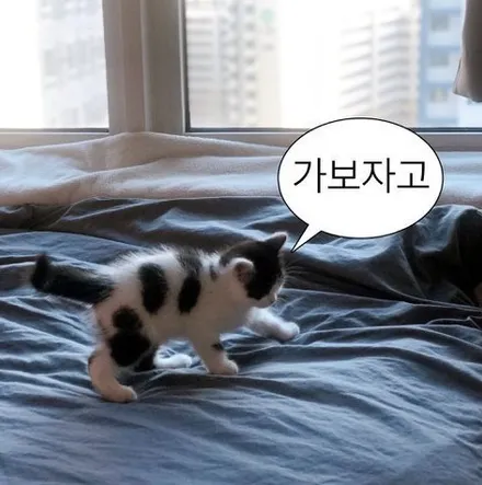 테슬라 모델3 생활보호PPF 후기 / 군산시 나운동