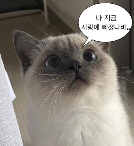 EV6 비반사 썬팅 고민이라면? / 군산시 나운동
