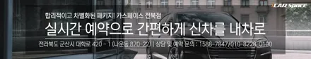 테슬라 모델Y PPF 찐 리뷰 / 군산시 나운동