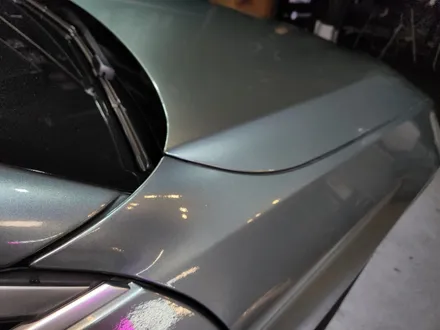 BMW5시리즈 전체랩핑제거후 *엔비아그린*전체랩핑 영등포랩핑 보험/사고수리전문! / 서울 영등포