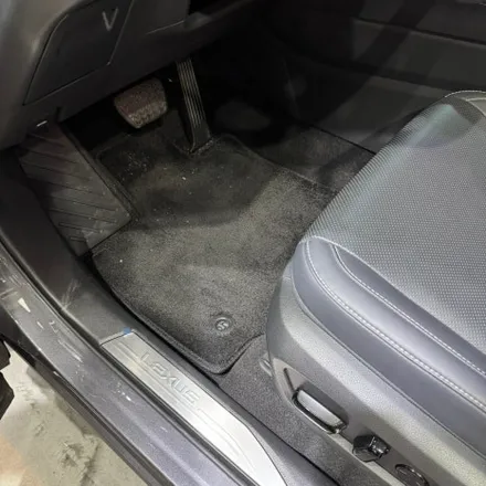 렉서스 NX350H 전면 벌레자국 디테일링 세차로 깨끗하게 제거하기! / 서울 영등포