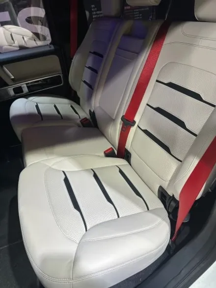 엄청난 포스를 자랑하는 G바겐 G63 AMG 디테일링 세차/유막제거/유리발수코팅 / 서울 영등포