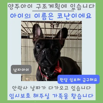 아우디S8 하체덜그럭/둑둑소리 어퍼암&활대링크교환 ! / 서울 영등포