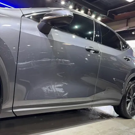 렉서스 NX350H 전면 벌레자국 디테일링 세차로 깨끗하게 제거하기! / 서울 영등포