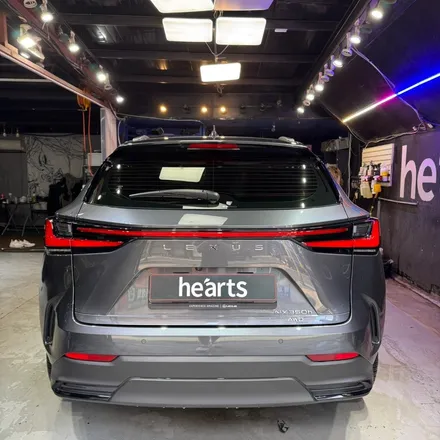 렉서스 NX350H 전면 벌레자국 디테일링 세차로 깨끗하게 제거하기! / 서울 영등포