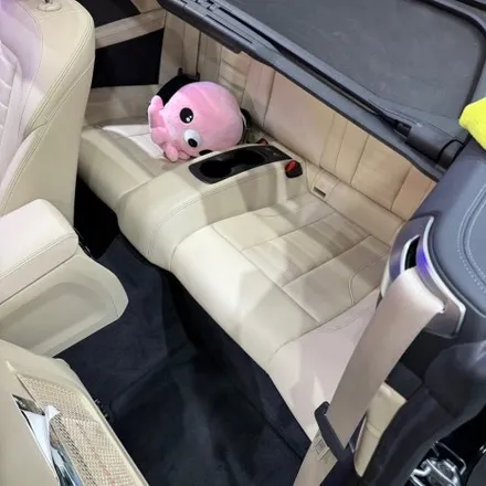 요즘핫한 러브버그,러브벌레사체 자동차전면부 깔끔하게 제거하기 / 서울 영등포