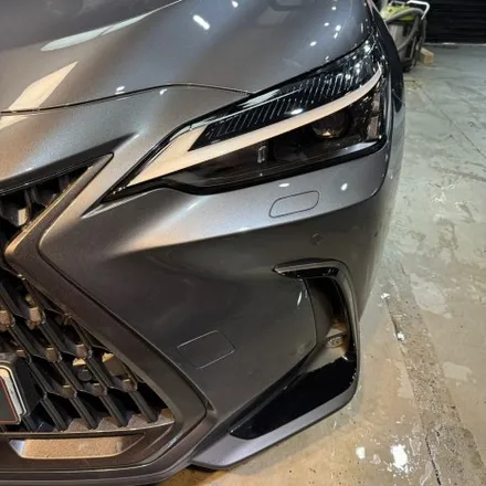 렉서스 NX350H 전면 벌레자국 디테일링 세차로 깨끗하게 제거하기! / 서울 영등포