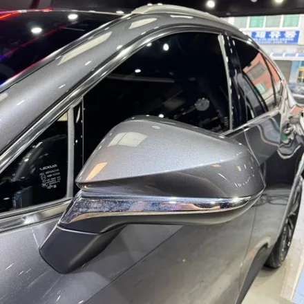 렉서스 NX350H 전면 벌레자국 디테일링 세차로 깨끗하게 제거하기! / 서울 영등포