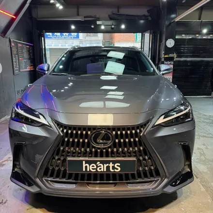 렉서스 NX350H 전면 벌레자국 디테일링 세차로 깨끗하게 제거하기! / 서울 영등포