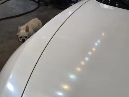 영등포랩핑전문하트스! BMW Z4 전체랩핑 작업 사틴블루 / 기존화이트랩핑제거 부분판금도장 및 복원작업까지 한번에 / 서울 영등포
