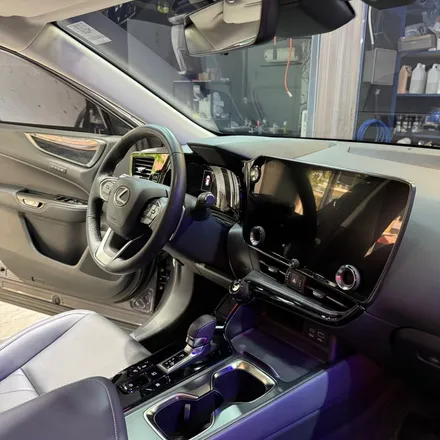 렉서스 NX350H 전면 벌레자국 디테일링 세차로 깨끗하게 제거하기! / 서울 영등포