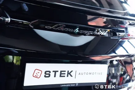 내차의 가치를 지키기 위한 선택, 람보르기니 우르스 PPF, STEK DYNOshield / 성남시 수정구 오야동