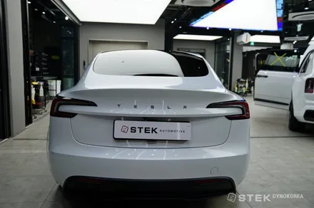 개방감이 때론 불편함으로,  테슬라 모델 3 STEK NEX 틴팅으로 보완하기 / 성남시 수정구 오야동