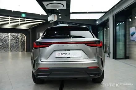 웅장한 그릴의 NX450+의 매력을 더 감각적으로 만들 다이노 PPF / 성남시 수정구 오야동