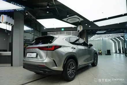 웅장한 그릴의 NX450+의 매력을 더 감각적으로 만들 다이노 PPF / 성남시 수정구 오야동