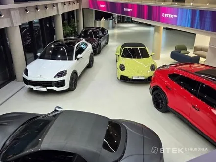911 카레라 4 GTS 겨울 오픈에어링은 STEK 다이노 PPF와 함께 / 성남시 수정구 오야동