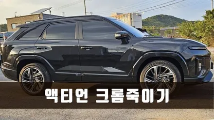 [양주데칼라이프] 2026액티언 크롬죽이기 - 윈도우라인몰딩, 사이드미러 / 양주시 고암동