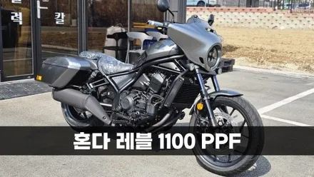 [양주데칼라이프]혼다 레블1100 연료탱크 사이드박스 PPF 작업 / 양주시 고암동