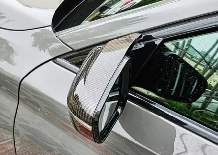 [양주데칼라이프] BMW 뿔미러커버 카본랩핑_530i / 양주시 고암동
