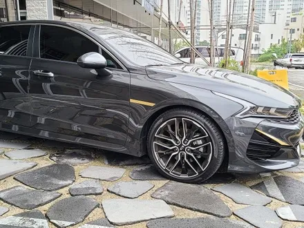 [양주데칼라이프] 기아 K5 커스텀데칼스티커로 나만의 차량 꾸미기! / 양주시 고암동