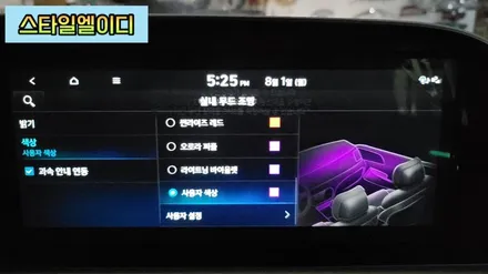 광주 엠비언트 팰리세이드 비노출 순정방식 그대로!!속지말고 완벽하게~ 동호회 아빠들 난리 나겠네!!😎 / 광주 북구