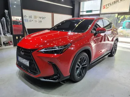렉서스 NX350h 생활보호패키지PPF 시공 포스팅/부천PPF/인천ppf/신차패키지 / 부천 원미구 상동