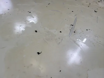 부천 랩핑/갈라지고 변색된 랩핑 제거 및 재시공 완벽하게 해드립니다/벨로스터 루프스킨 재시공 / 부천 원미구 상동