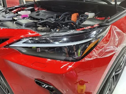 렉서스 NX350h 생활보호패키지PPF 시공 포스팅/부천PPF/인천ppf/신차패키지 / 부천 원미구 상동