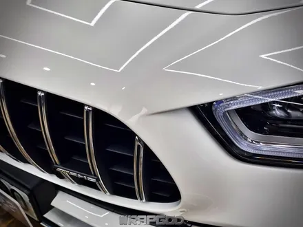 벤츠 AMG GT 앞범퍼 본넷 부분 PPF, 클리프디자인 엘리트 PPF 시공 in 김포 랩갓 / 김포 양촌읍
