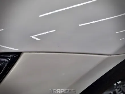 벤츠 AMG GT 앞범퍼 본넷 부분 PPF, 클리프디자인 엘리트 PPF 시공 in 김포 랩갓 / 김포 양촌읍