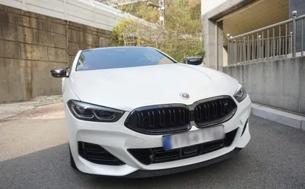 BMW M850i 국룰 배기 튜닝 8기통 배기음 제대로 나옵니다! 중통, 보펜 모듈 작업기! / 서울 동작구