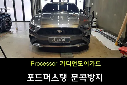 포드 머스탱 문콕방지 걱정되신다면, 가디언도어가드 / 수원 팔달