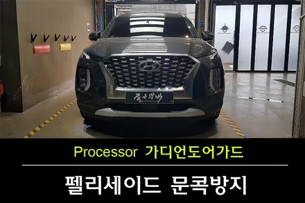 [문콕방지도어가드] 현대 펠리세이드 문콕방지를 위해 가디언 도어가드 하세요 / 수원 팔달