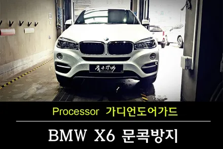 부천 가디언도어가드 BMW X6 신차 문콕이 걱정되신다면... 차량용 도어가드 / 수원 팔달