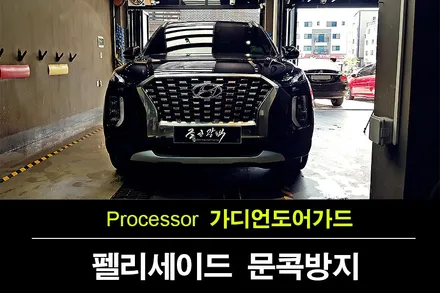 펠리세이드 문라이트 클라우드 가디언 도어가드 더블패키지 장착 문콕이여 안녕~~~ / 수원 팔달