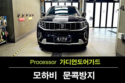 모하비 더 마스터 오로라 블랙펄 가디언 도어가드로 문콕 보호하기 / 수원 팔달